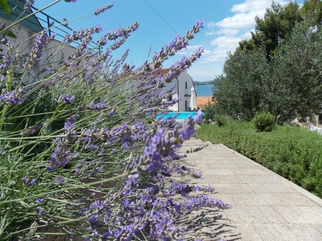 Apartments Villa Goja Trogir Chambre photo