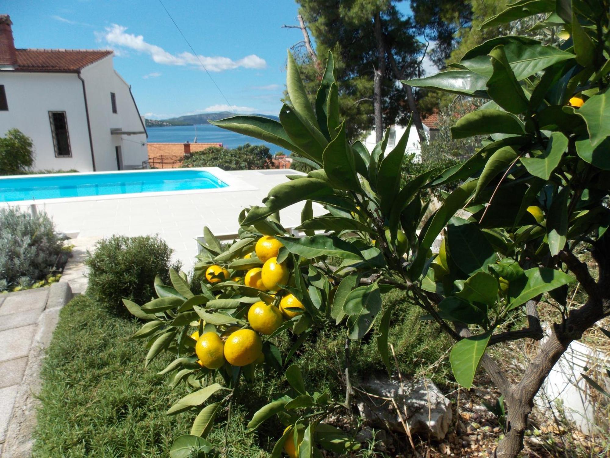Apartments Villa Goja Trogir Chambre photo