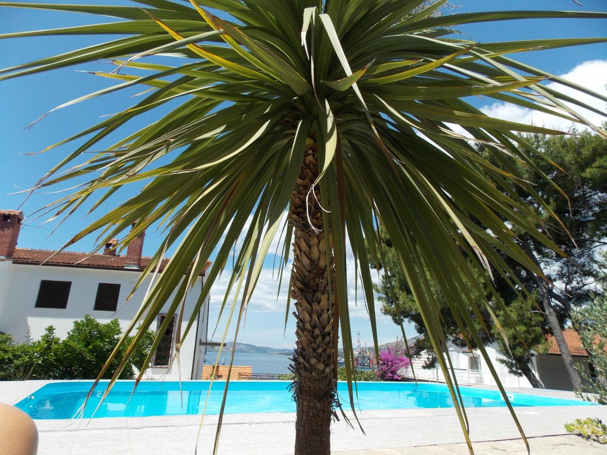 Apartments Villa Goja Trogir Chambre photo