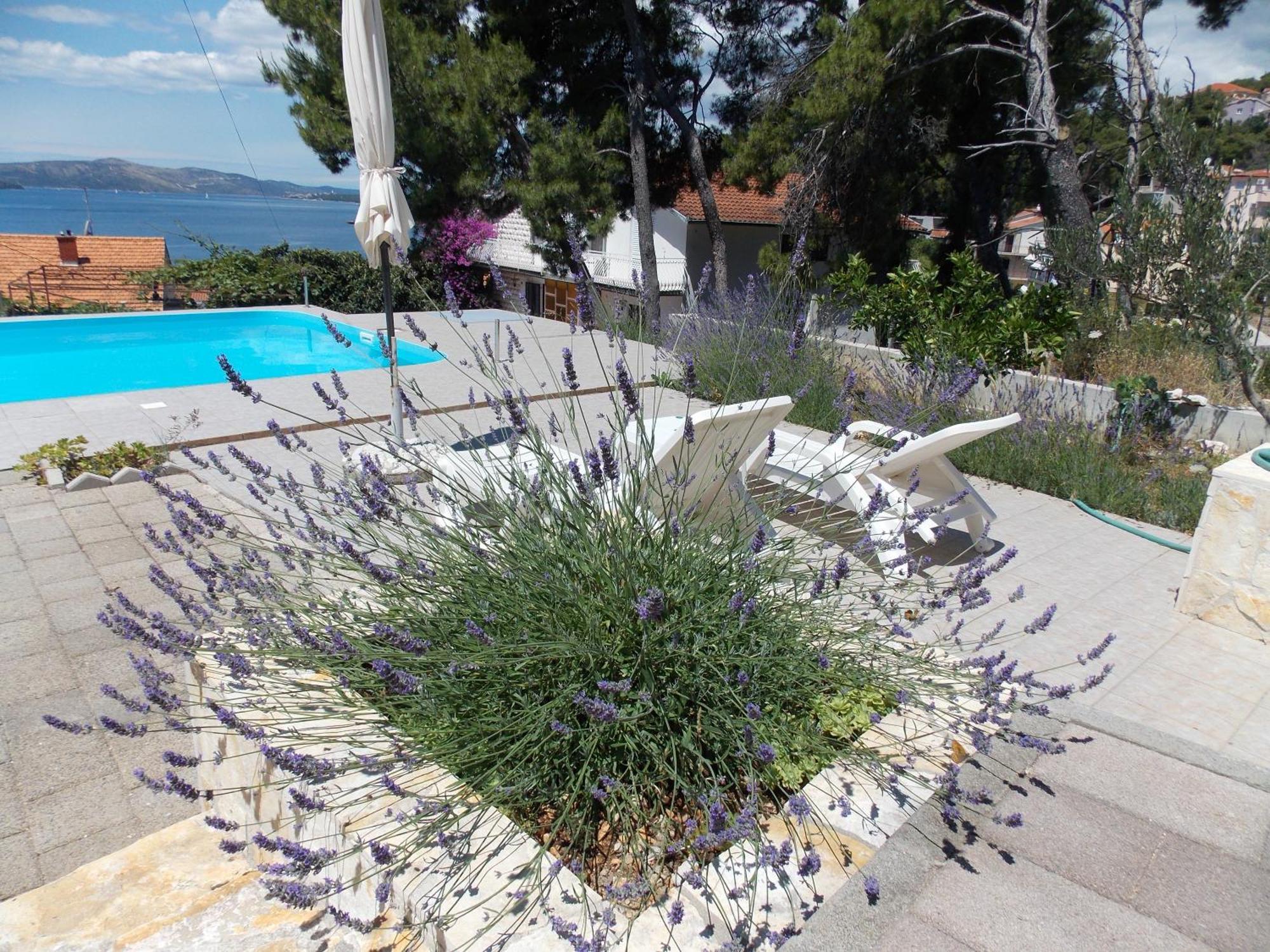 Apartments Villa Goja Trogir Chambre photo